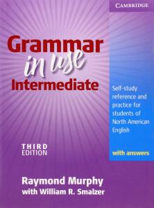 Grammar in Use Intermediate: Self-study Reference and Practice for Students of North American English - with Answers