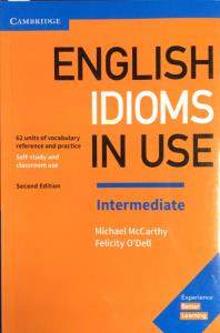 english idioms in use intermediate