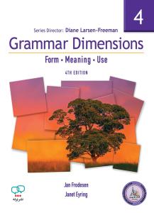 Grammar Dimensions 4 Form Meaning Use 4th
